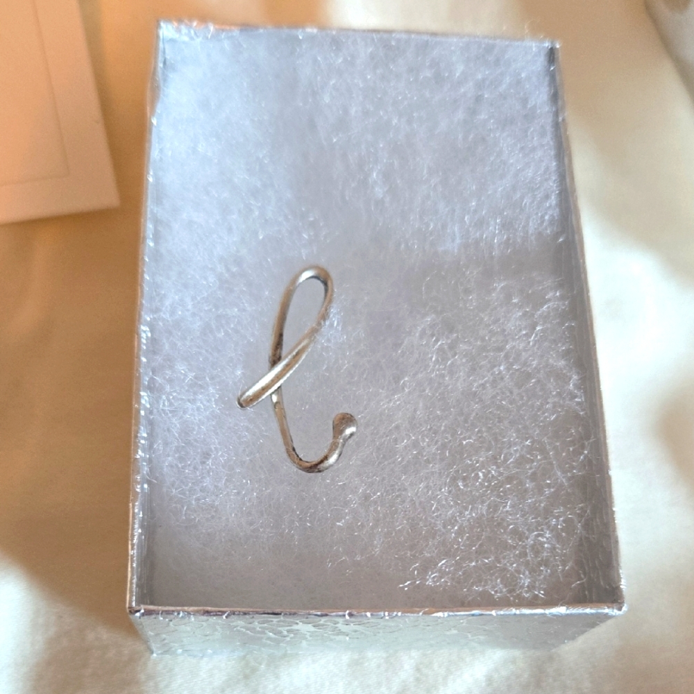 Tiffanys Elsa Peretti B Necklace Charm.